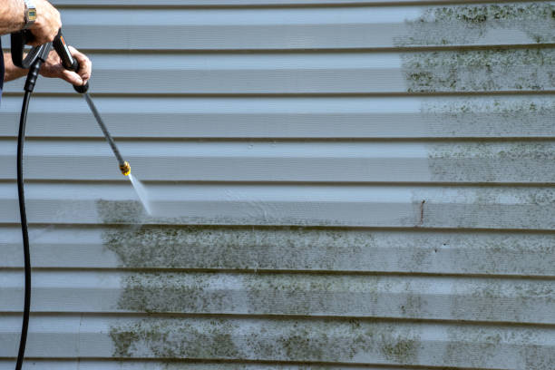 Best Hoarding Cleanup  in Burnham, PA